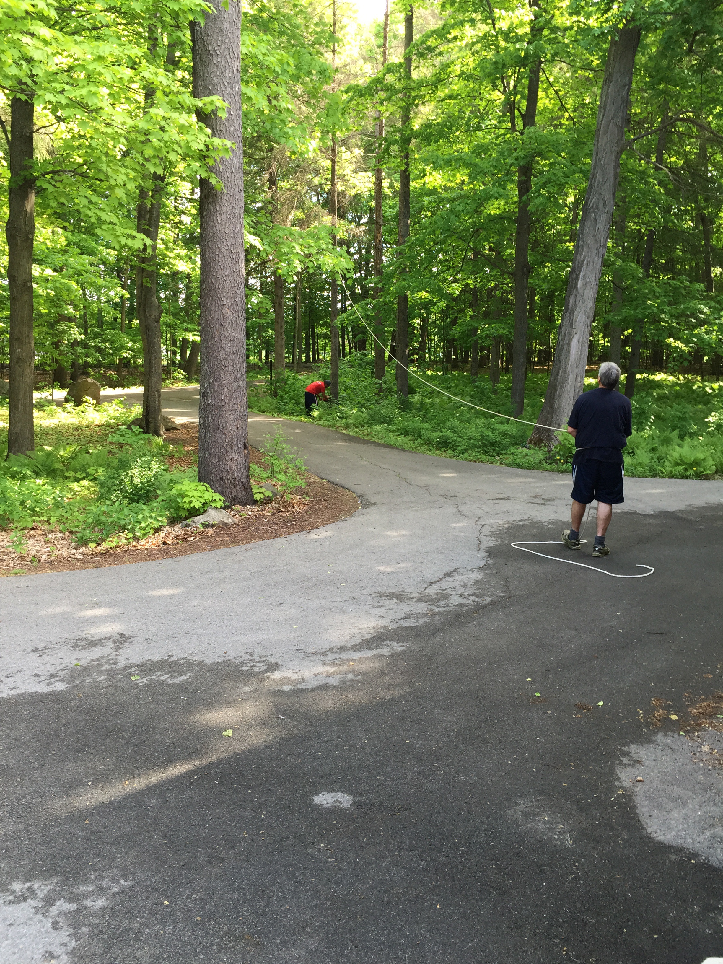 Our driveway in Carp, Ontario