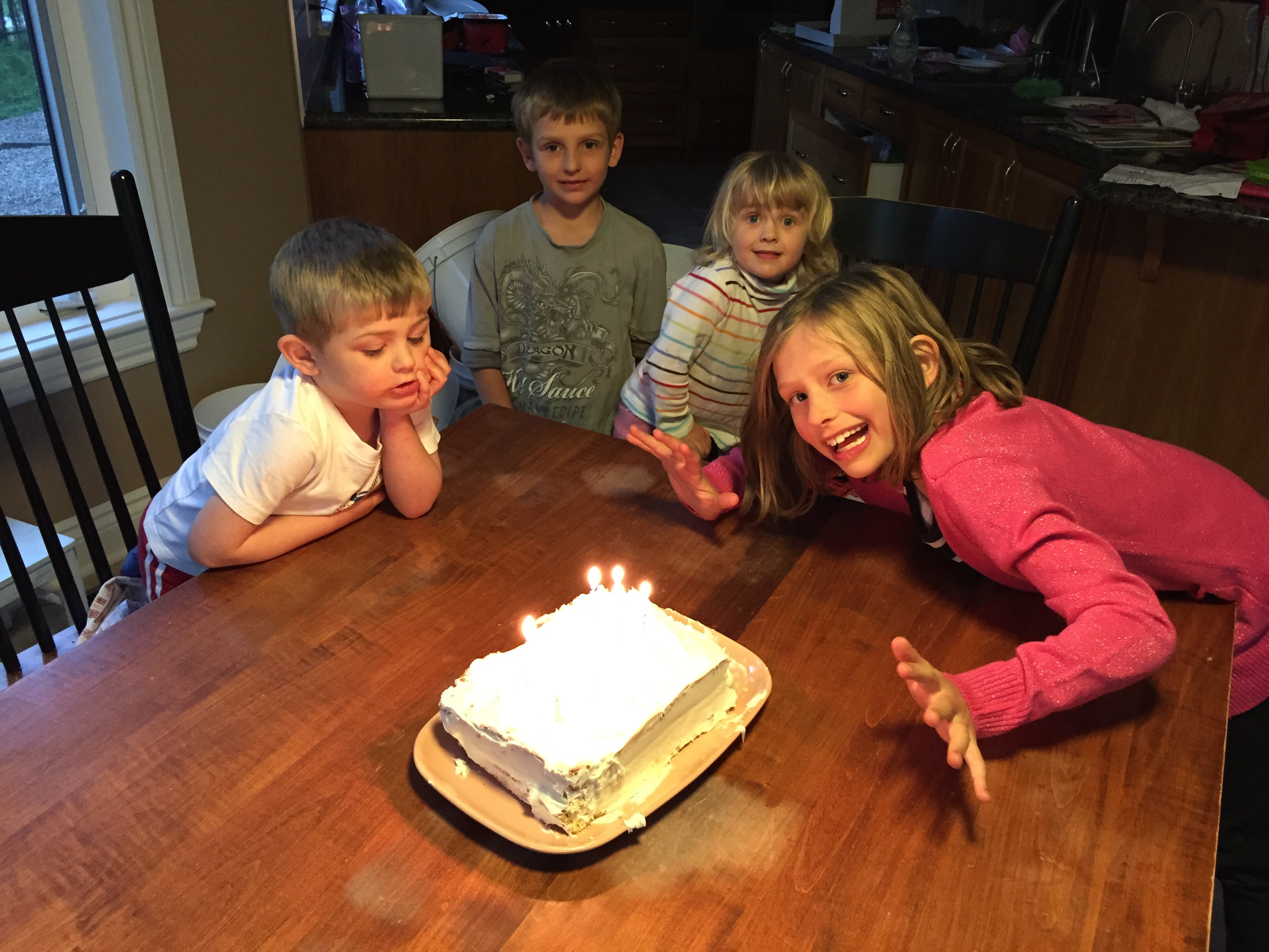 This is the cake my husband made for our twins' fourth birthday.