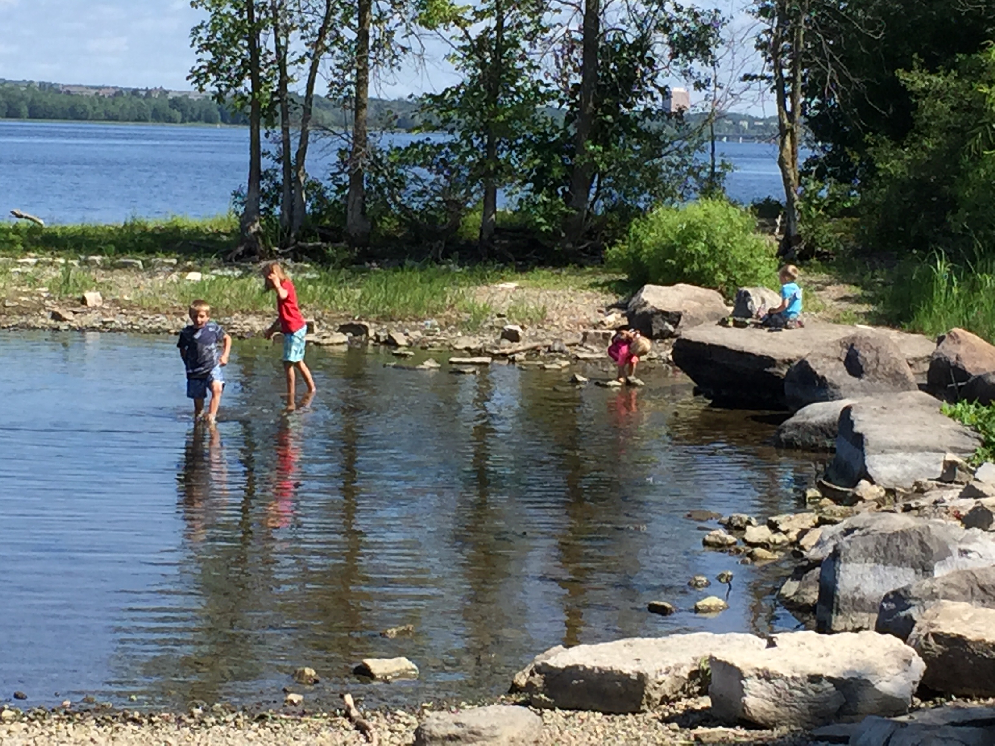 A scene of the duck pond along the Ottawa River Parkway