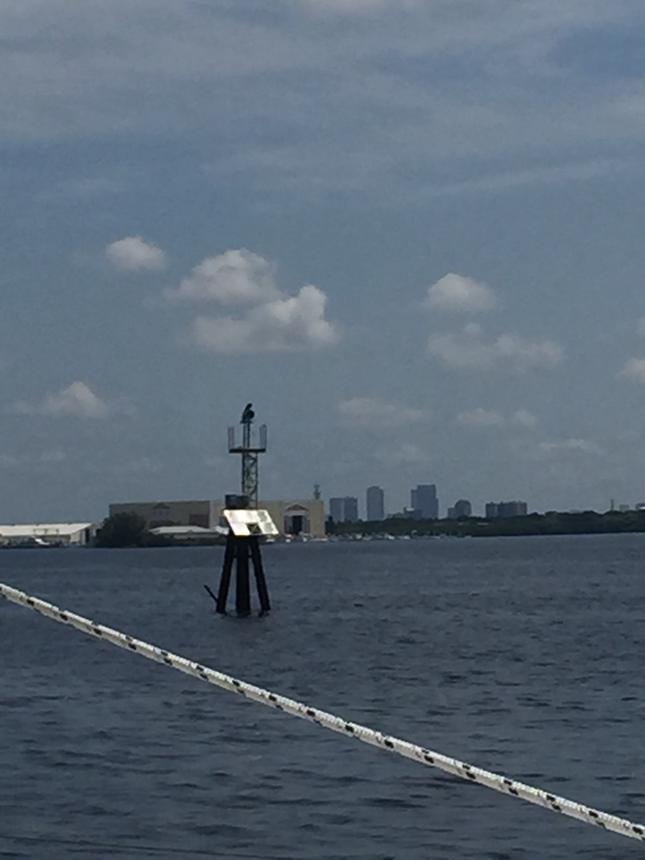 Alien skeleton or transit marker?