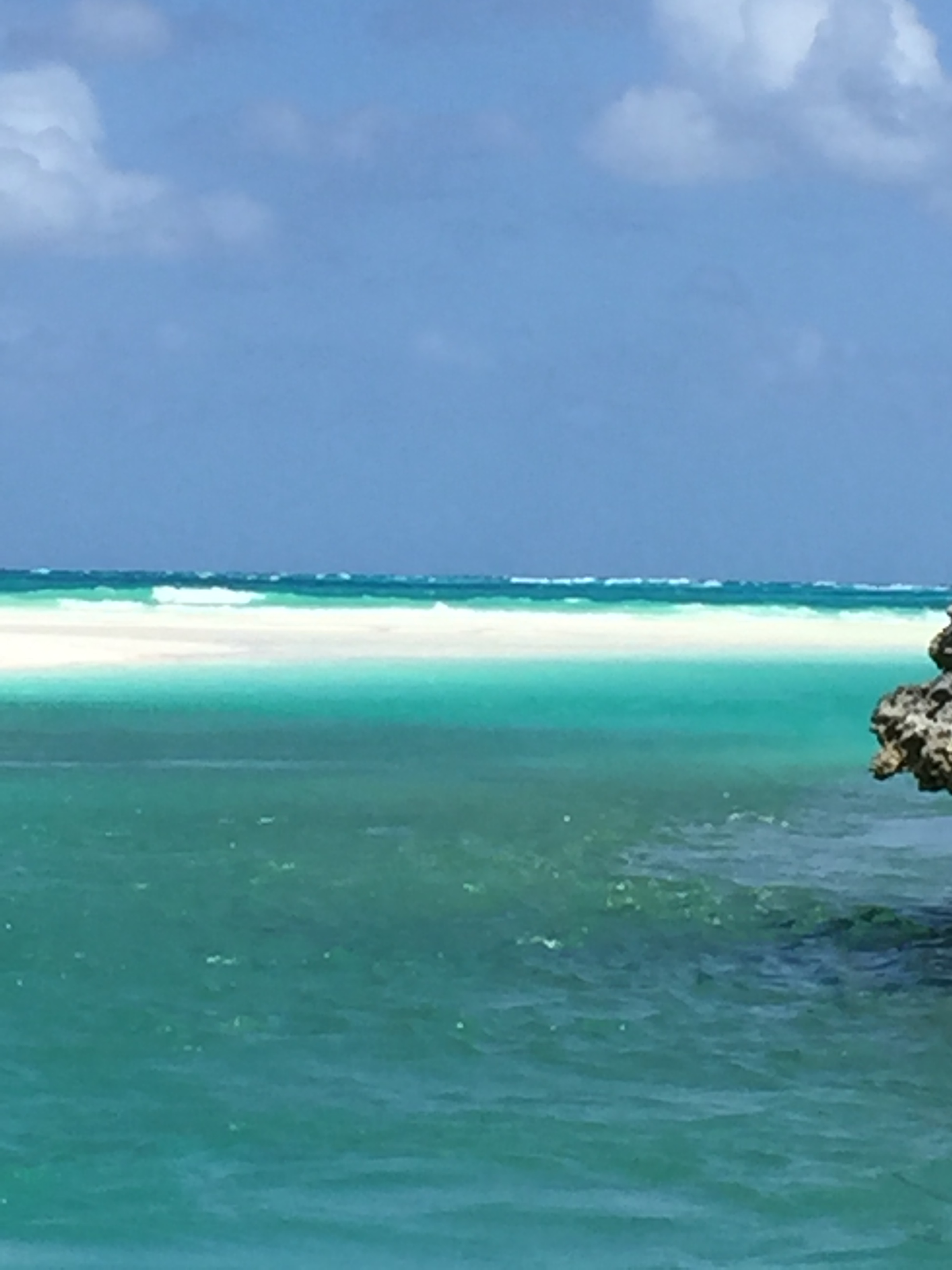 Turquoise waters of Shroud Cay, Bahamas