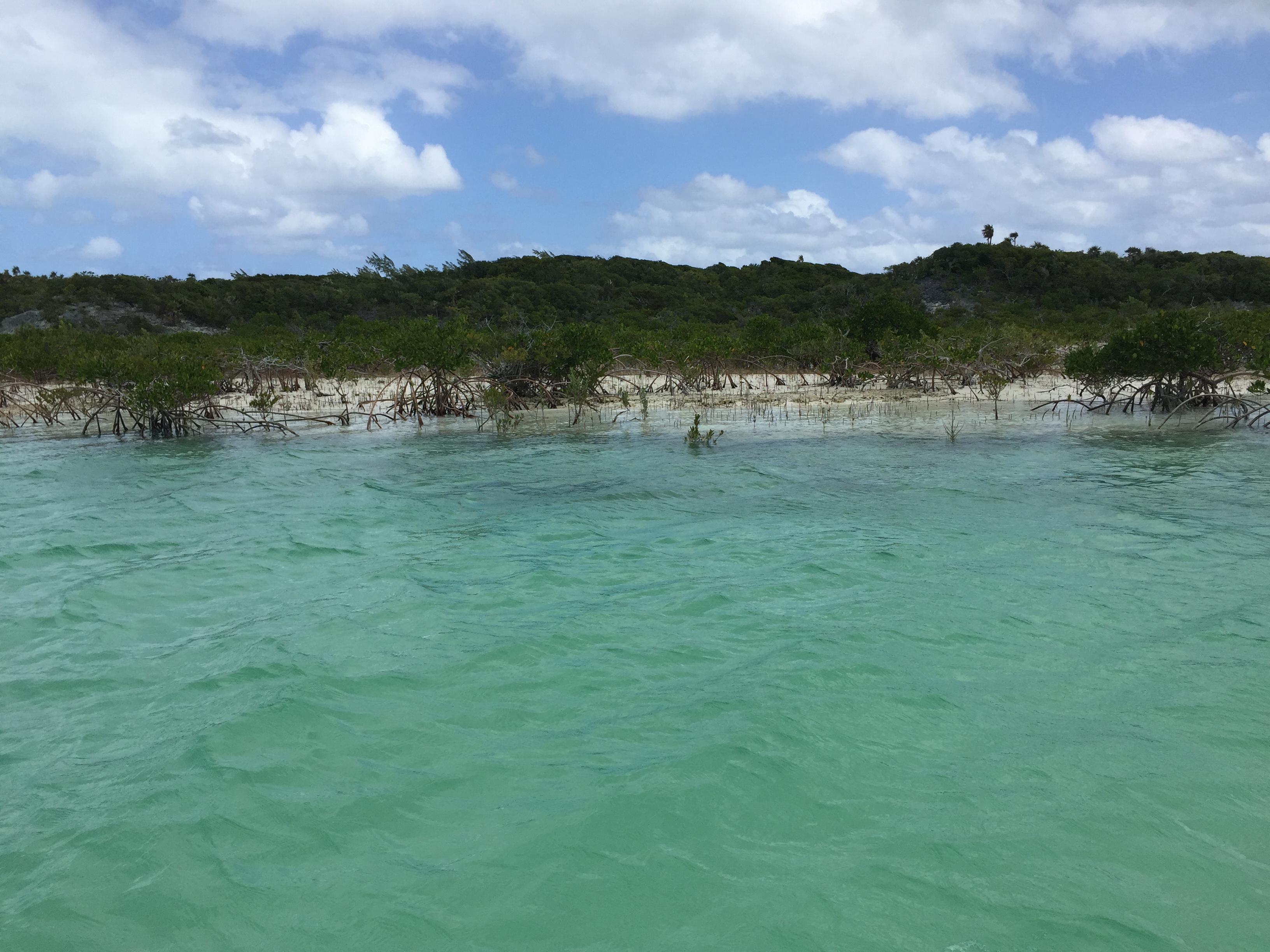 Shroud Cay sand flats in the Bahamas