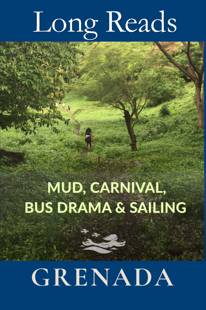 A Long Reads pinterest that indicates that stories will be about mud, Carnival, Bus drama and sailing