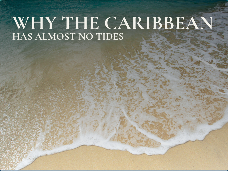 Why the Caribbean has no tides