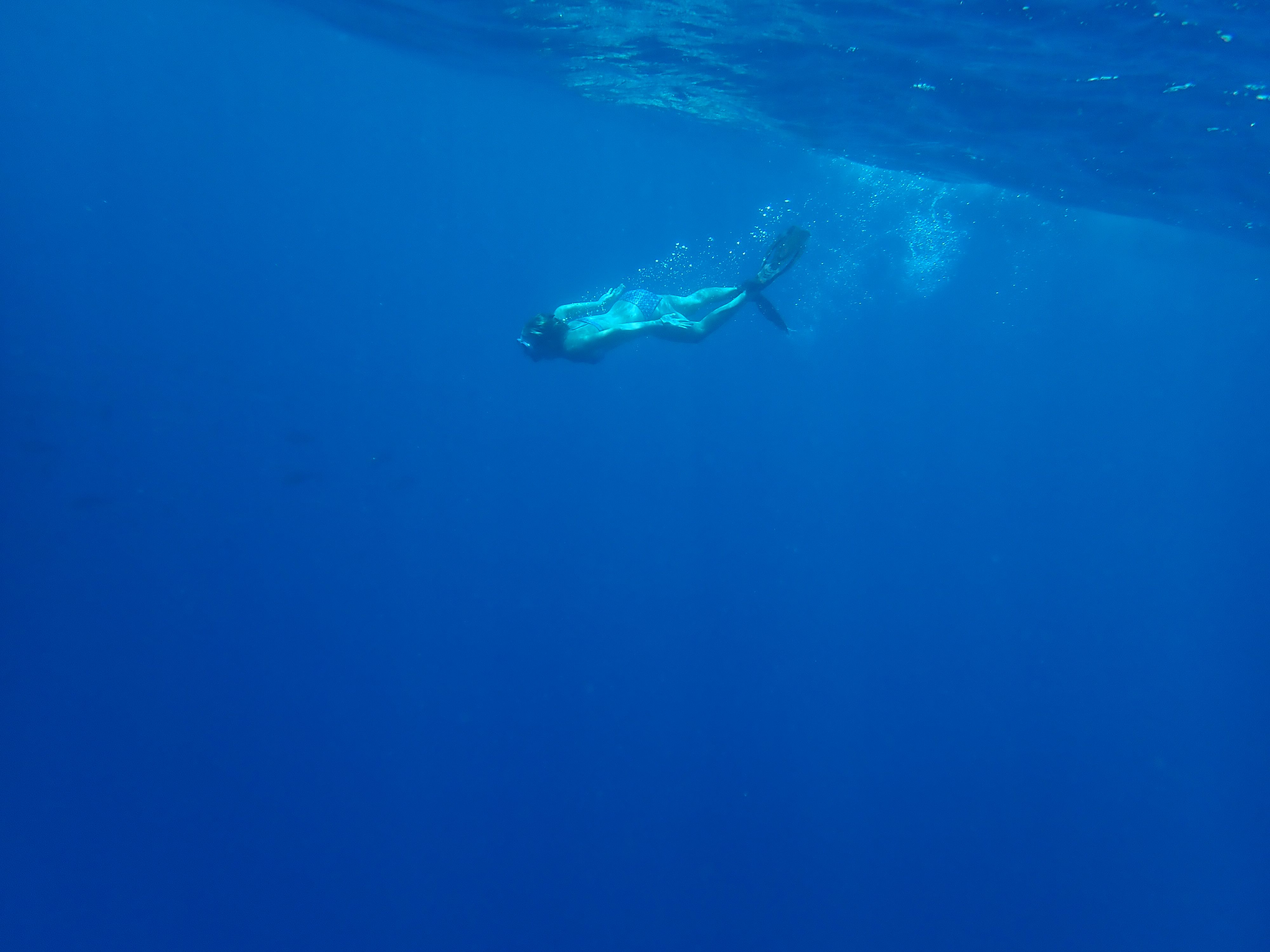 Betty from St Francis 50 catamaran Aphrodite swimming in Chuuk Lagoon.
