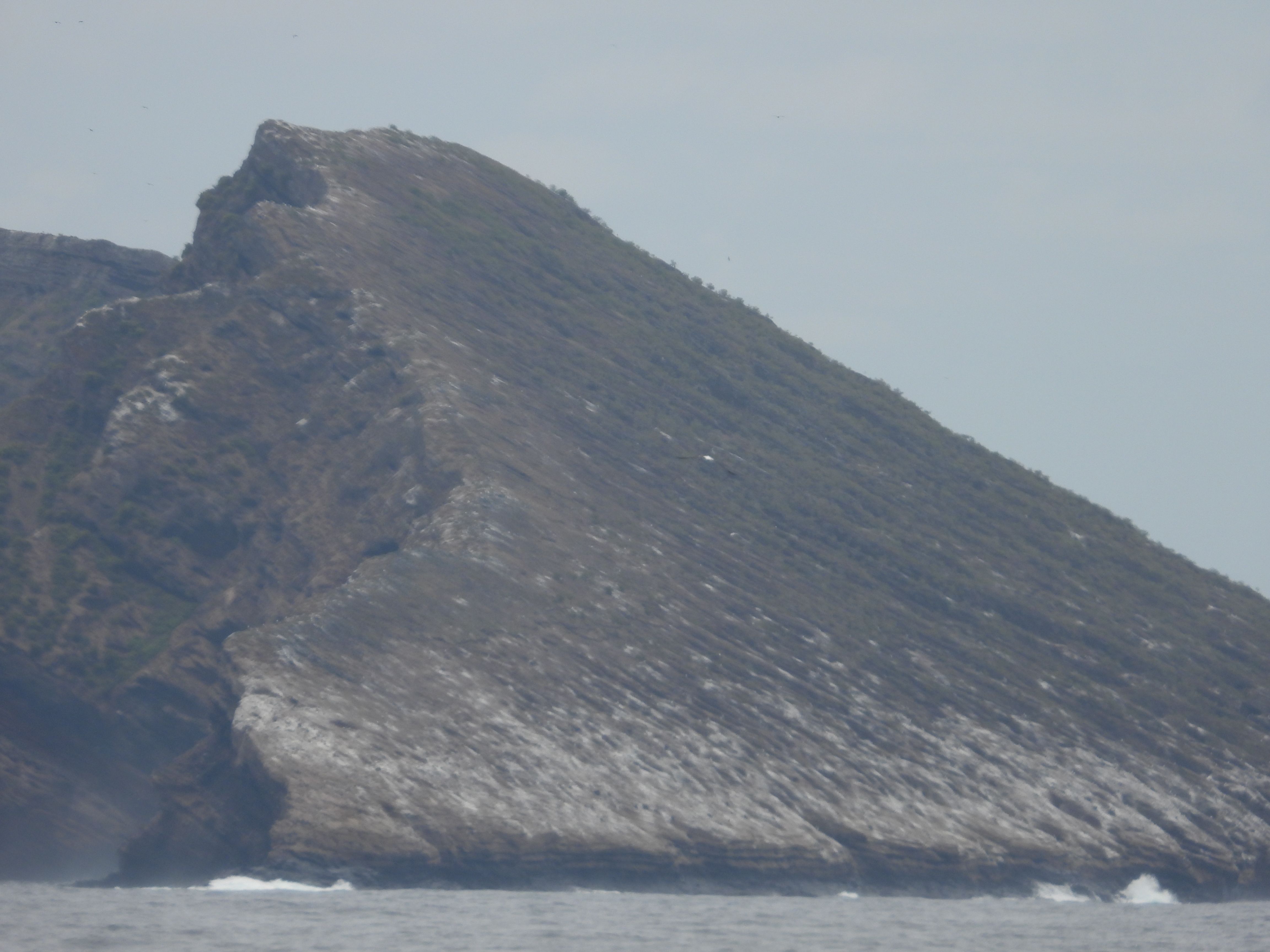 Close up of previous picture - volcanic island of the Galapagos.