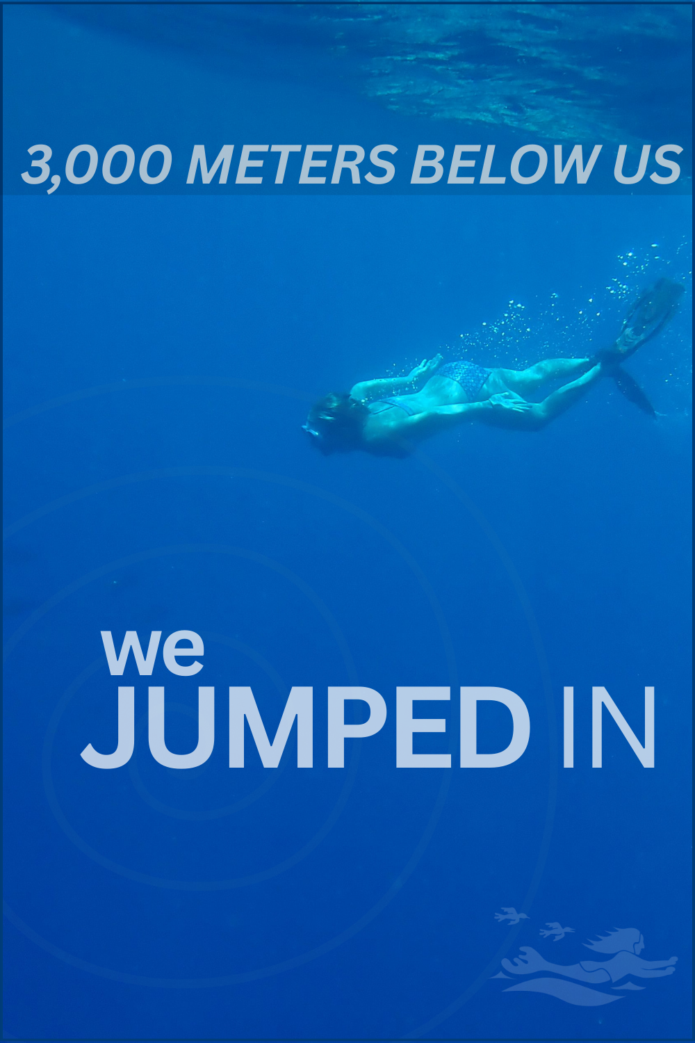 A picture of Betty swimming underwater in a beautiful blue ocean.