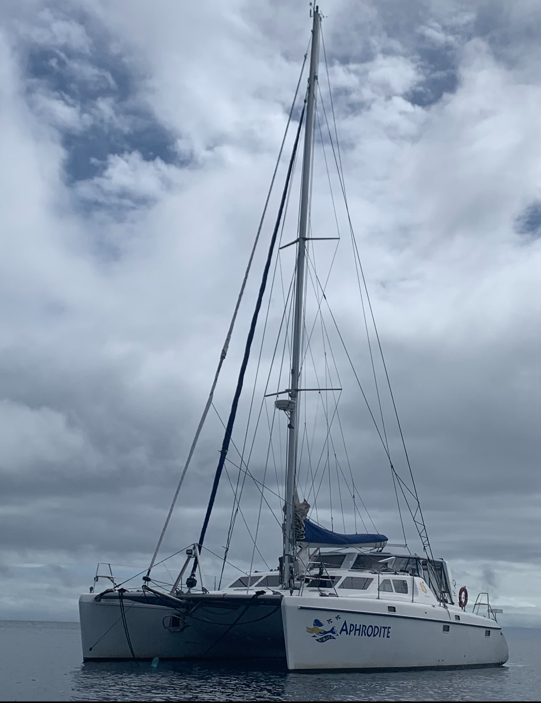 Picture of a catamaran