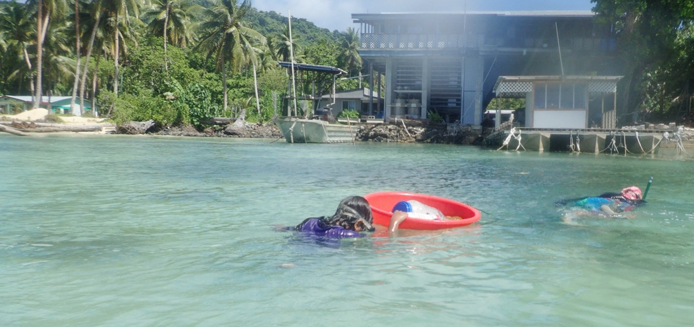 Young girls in Chuuk, Micronesia snorkel to gather sea cucumbers
