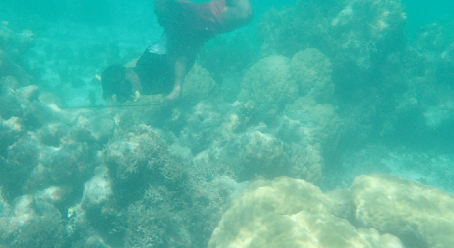A boy spearfishing in Chuuk, Micronesia.