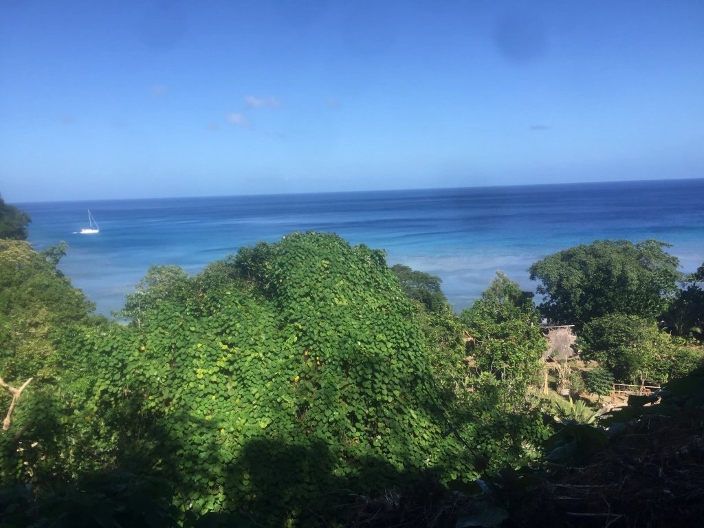SV Aphrodite catamaran anchored off the coastline of Pentecost Island, Vanuatu, with rainforest and clear blue ocean in view.