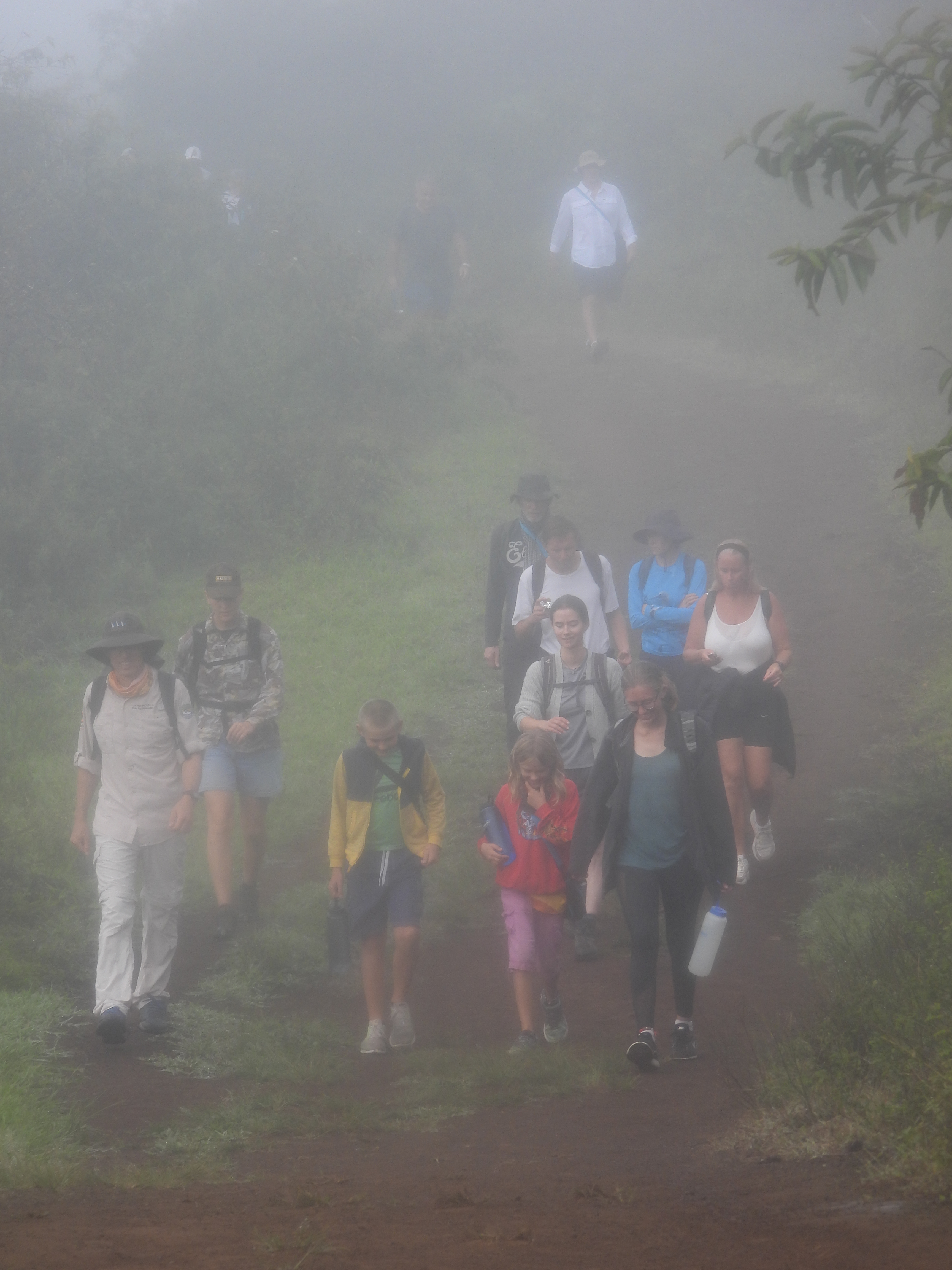 Our hiking group ascends the Sierra Negra volcano.