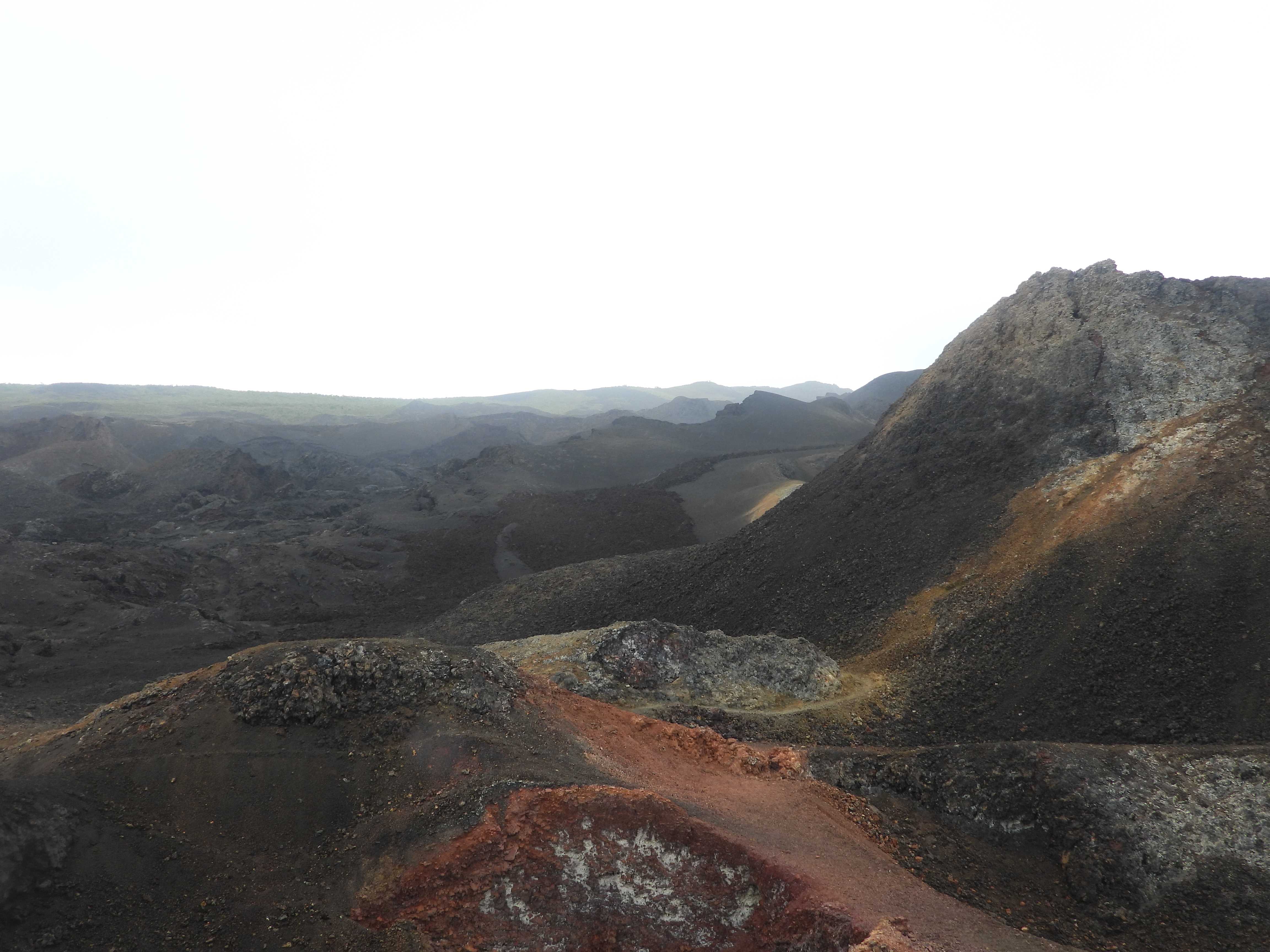 Colour striations on the Sierra Negra volcano hike on Isla Isabela, Galapagos.