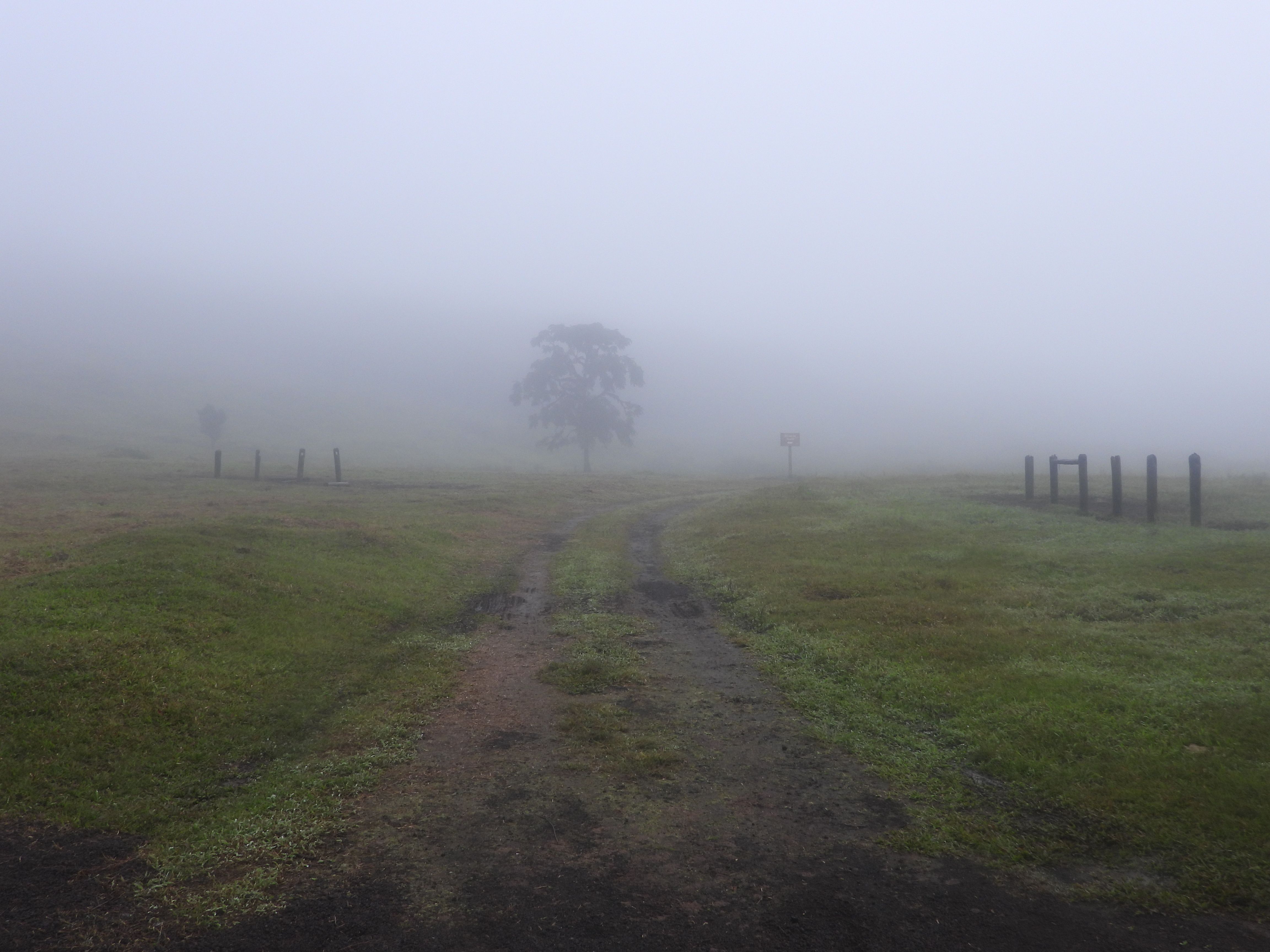 Trailhead to the Sierra Negra volcano on Isabela Island, Galapagos, covered in mist.