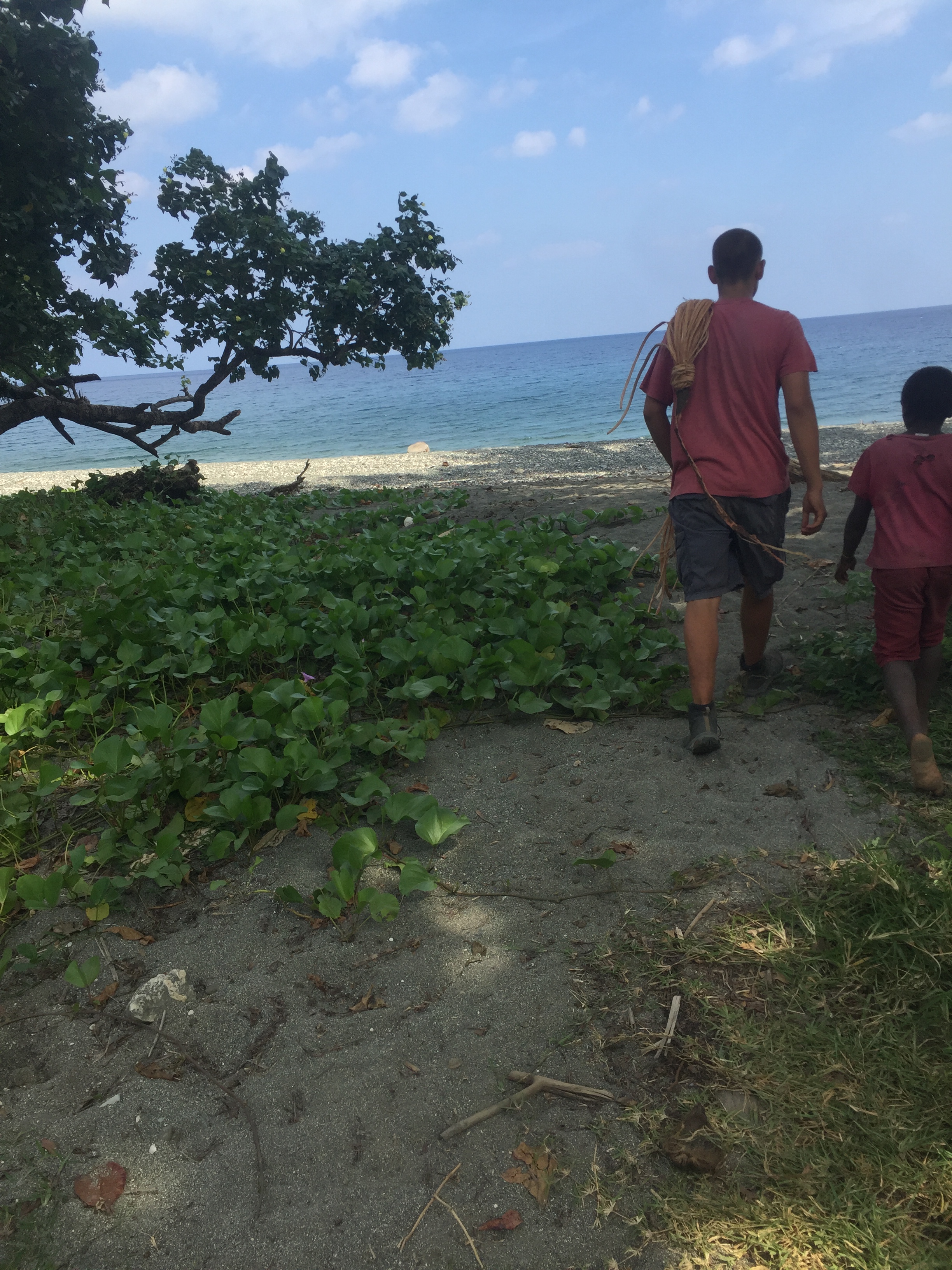 Paul walks with some vines from the land diving event on Pentecost Island.