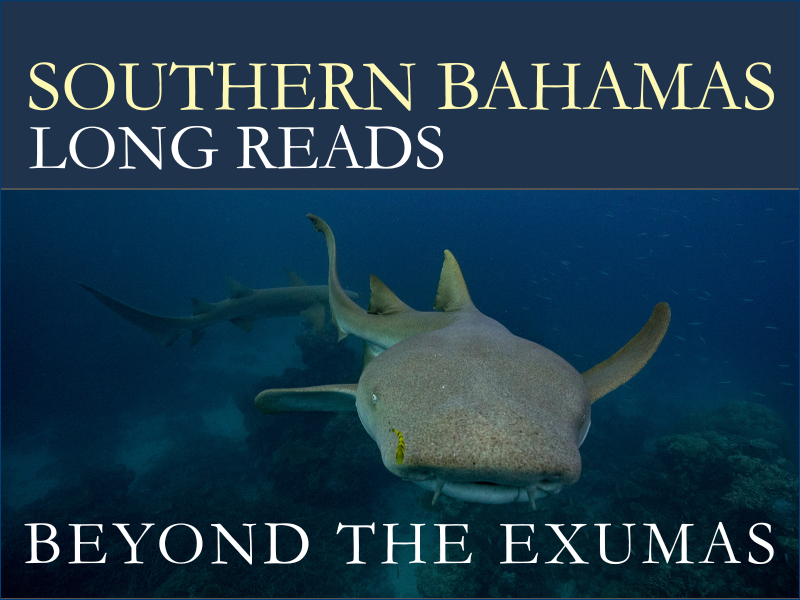A Nurse Shark that we seriously feared in the Jumentos, Ragged Islands and other islands south of George Town.